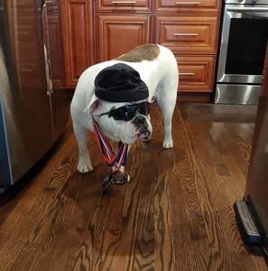 Meet your Posher, Antonio